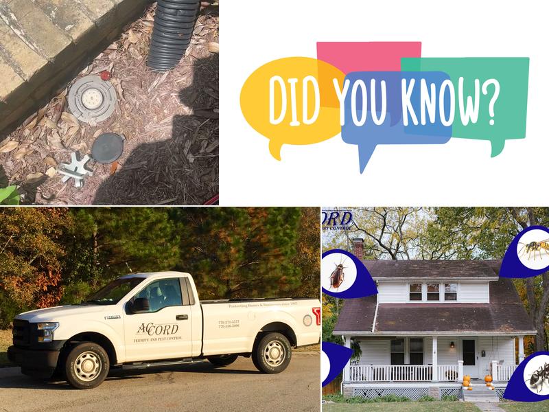 Accord Termite and Pest Control