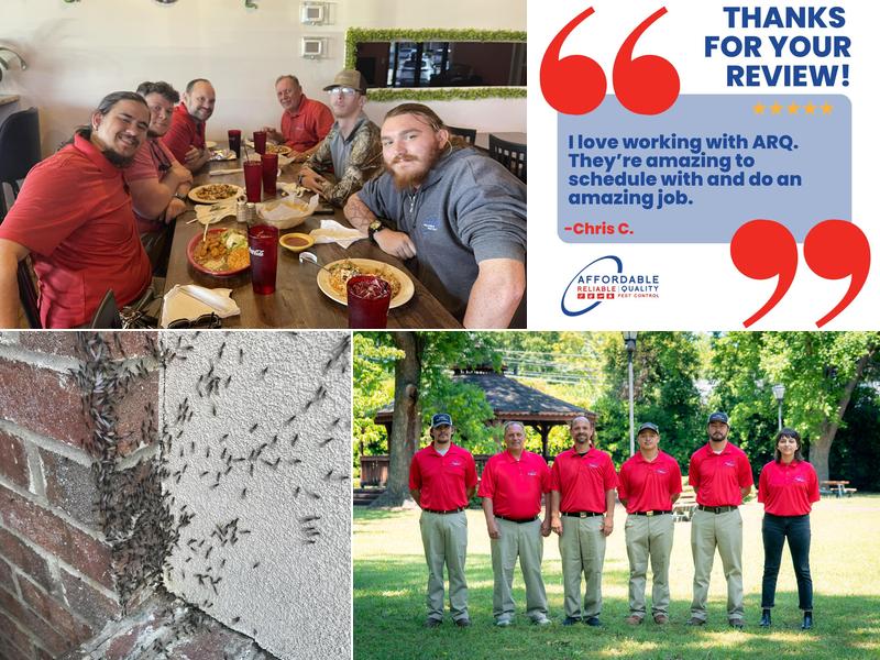 ARQ Pest Control, Inc.