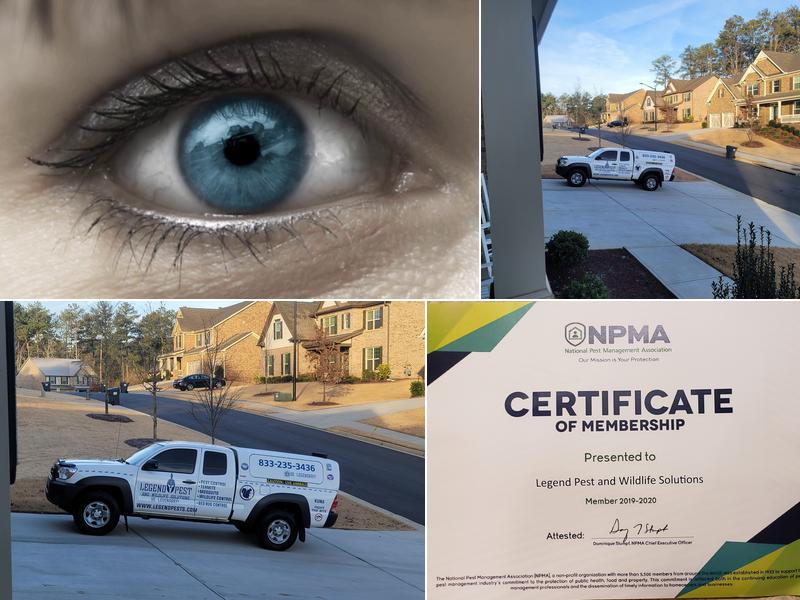 Legend Pest and Wildlife Solutions, LLC