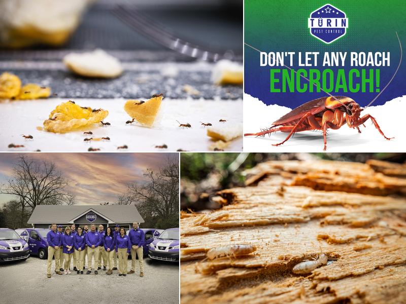 Turin Pest Control