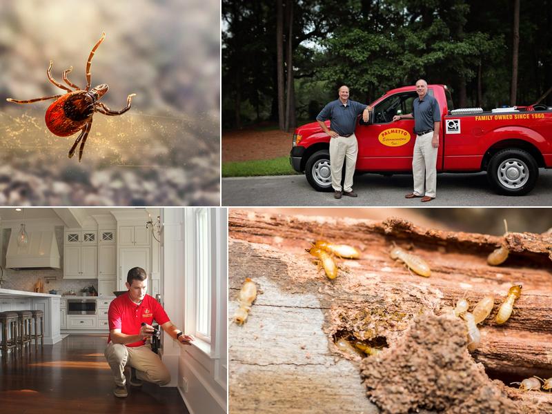 Palmetto Exterminators