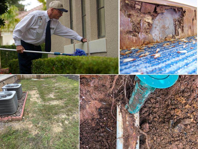 Massey Services Pest Control