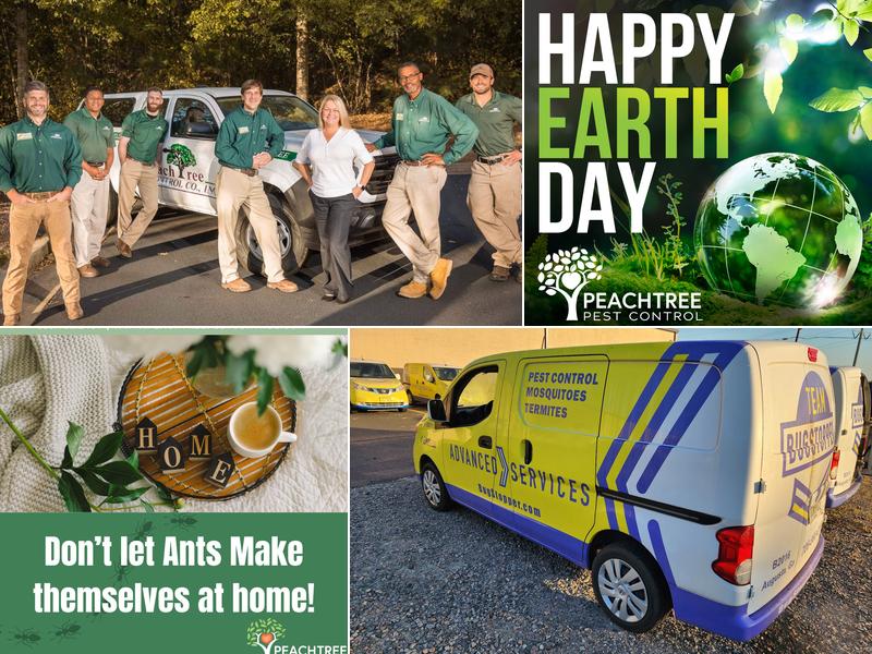 Peachtree Pest Control