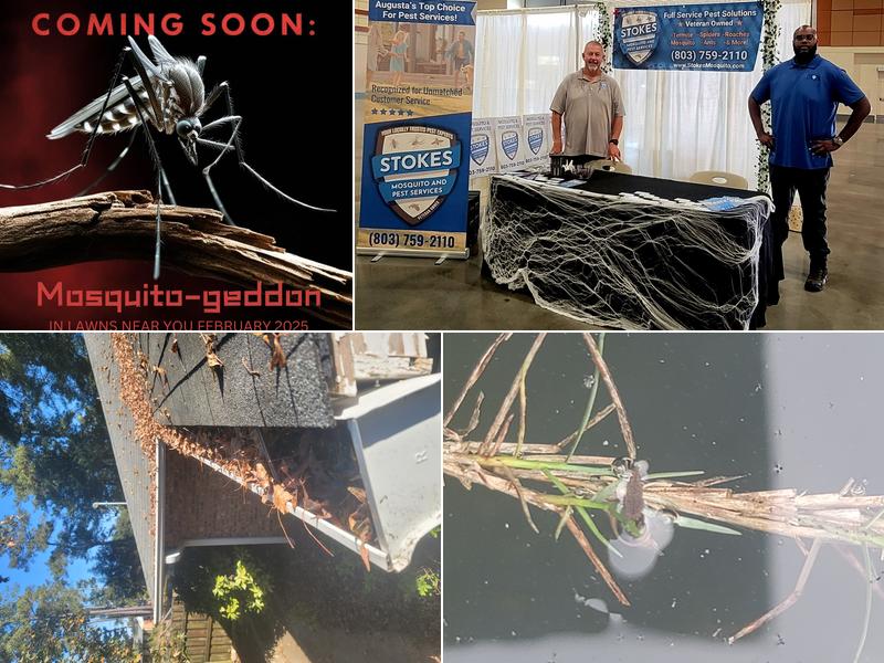 Stokes Mosquito and Outdoor Pest Service