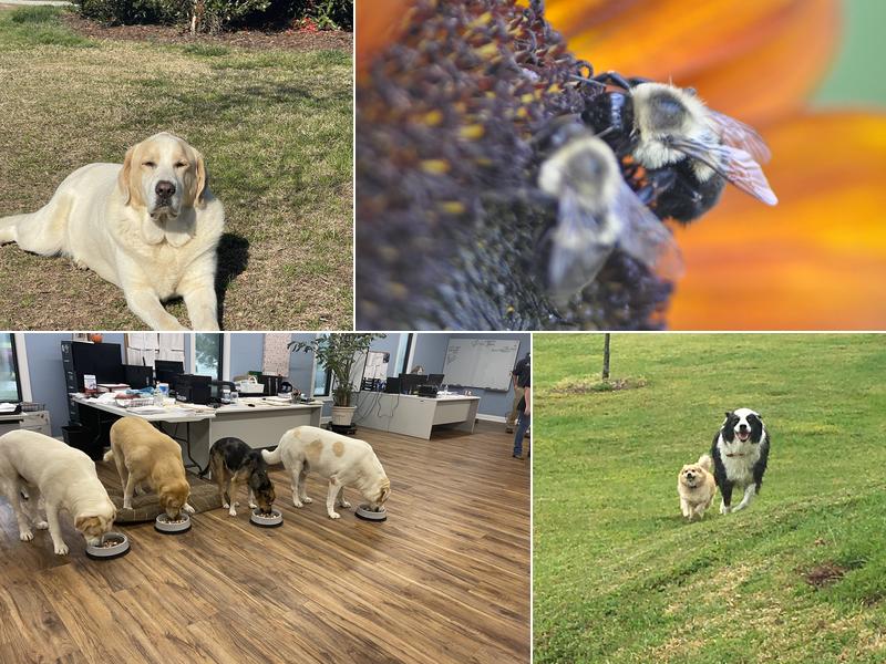 David M Parker Exterminating