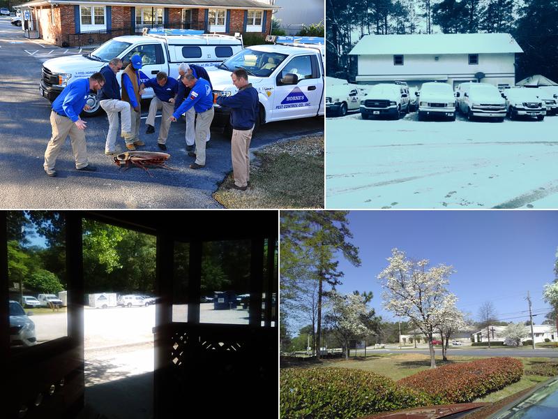 Horne's Pest Control Company Inc.