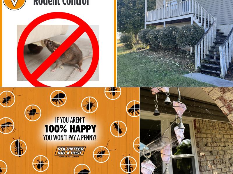 Volunteer Rid-A-Pest