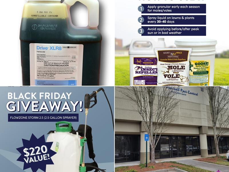 Do It Yourself Pest Control