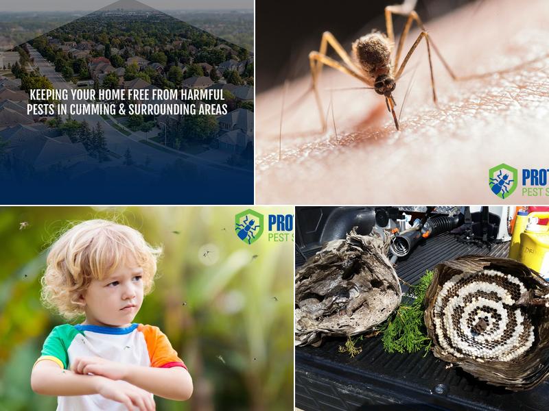 Protector Pest Solutions