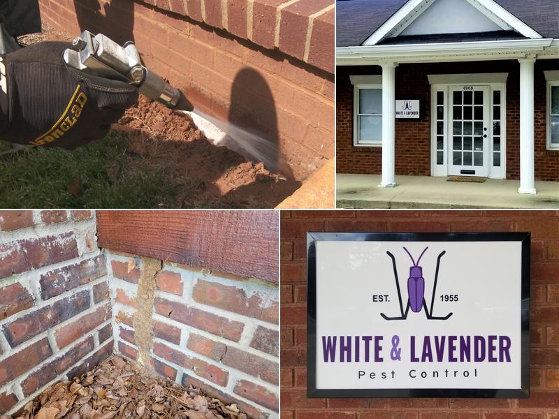 White and Lavender Pest Control