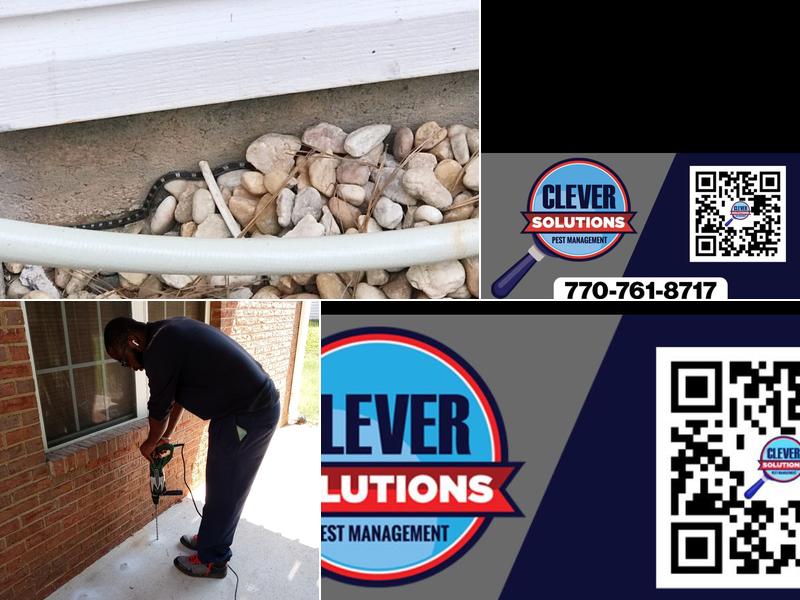 Clever Solutions LLC