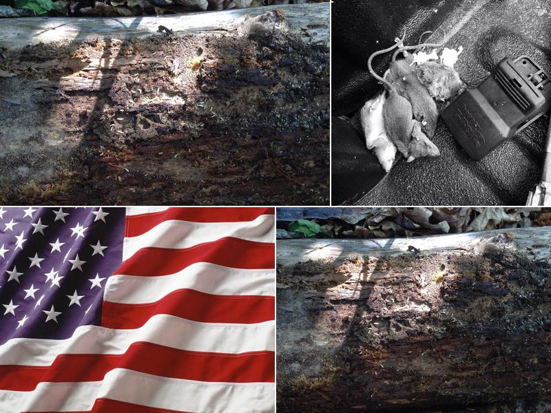 Southwest Exterminating Co