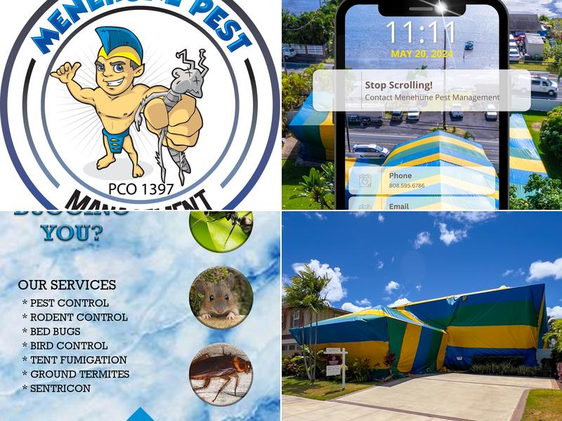 Menehune Pest Management - Honolulu HI