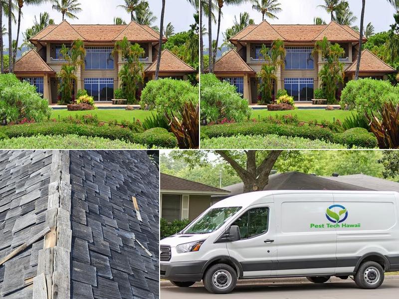Pest Tech Hawaii