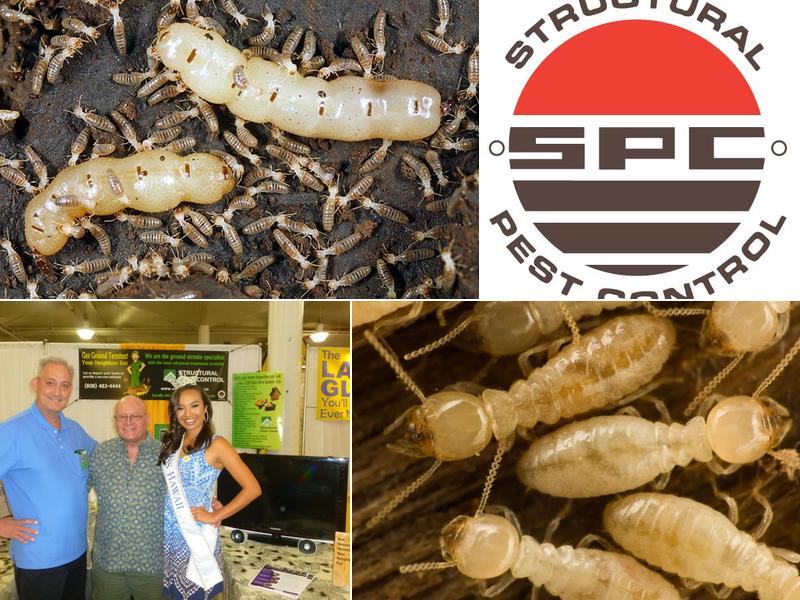 Structural Pest Control