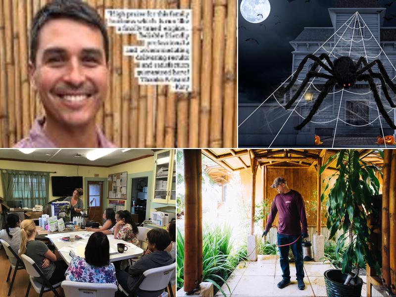 Bowman Termite & Pest Management LLC