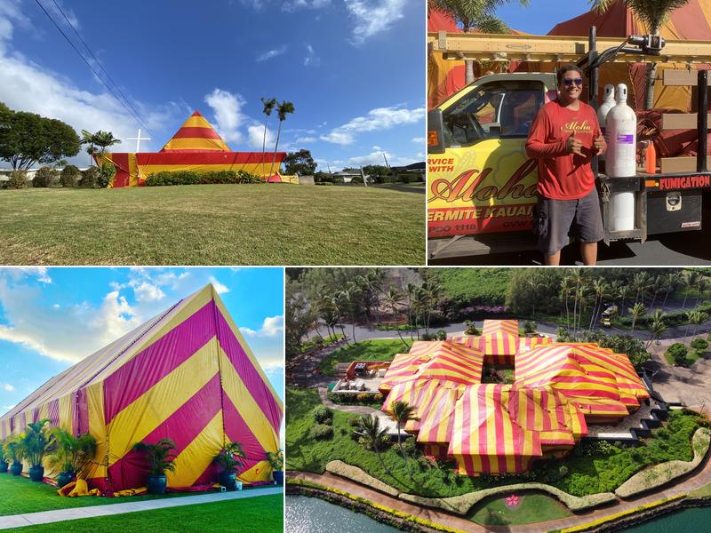 Hawaii Fumigation & Pest Control