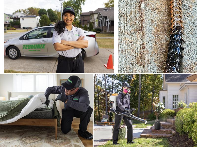 Terminix