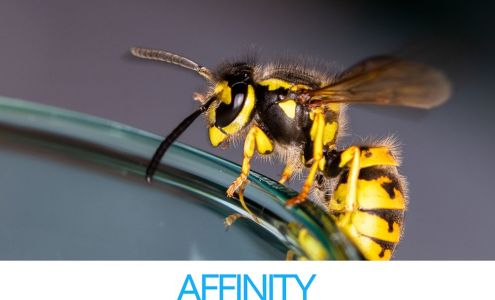 Affinity Pest Control
