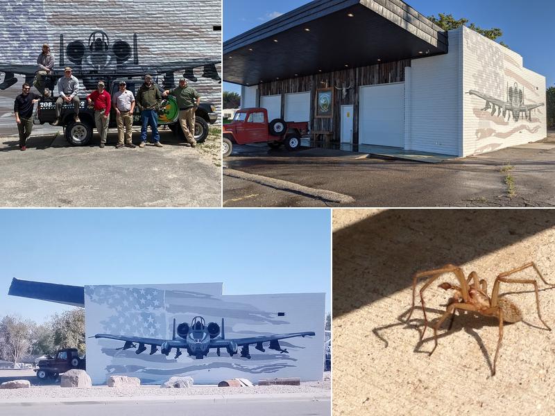 Best Pest Control and Services