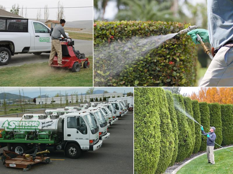 Senske Services - Coeur d'Alene