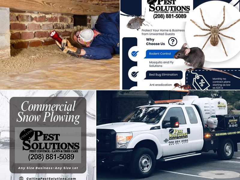 Colling Professional Services