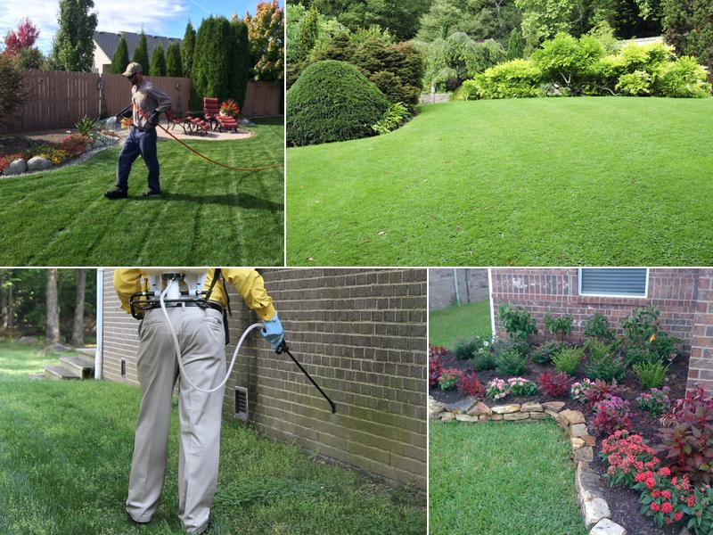 Ramey's Yard Care & Pest Control