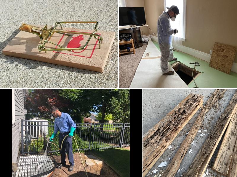 Cache Valley Extermination