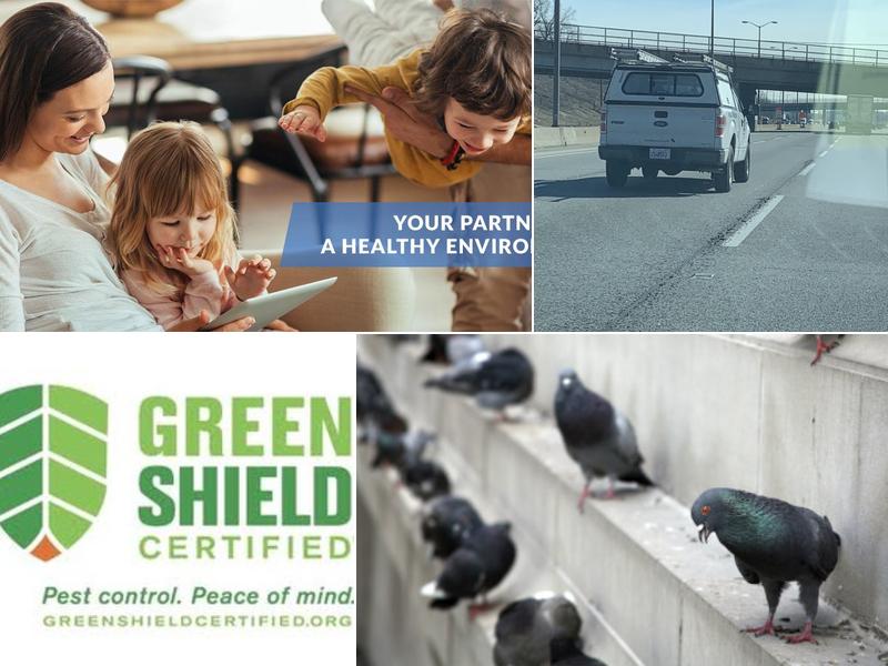 Smithereen Pest Management Services