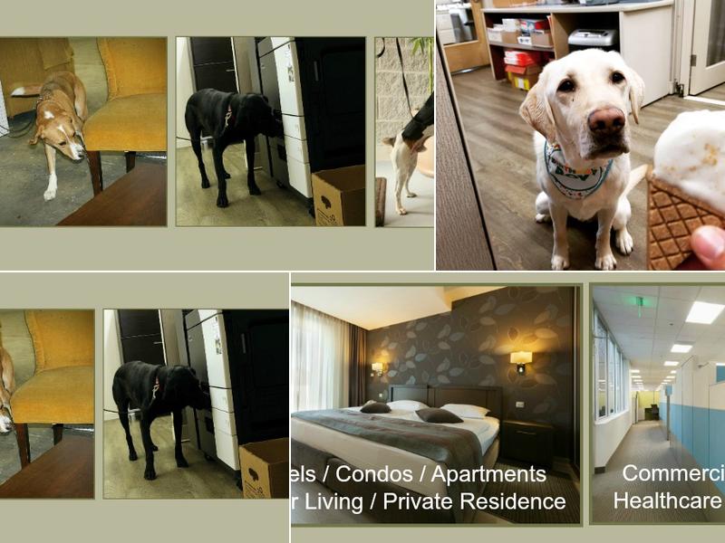 Canine Detection & Inspection Services (CDIS)