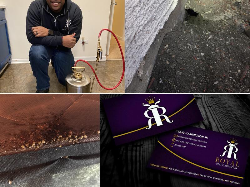 Royal Pest Elimination