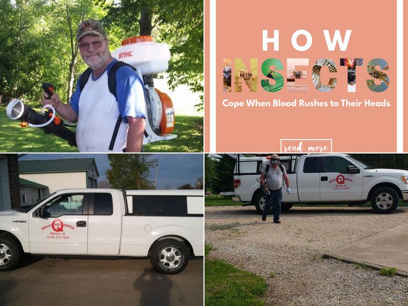 Quality Pest Control, Inc