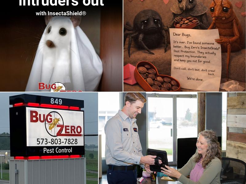 Bug Zero