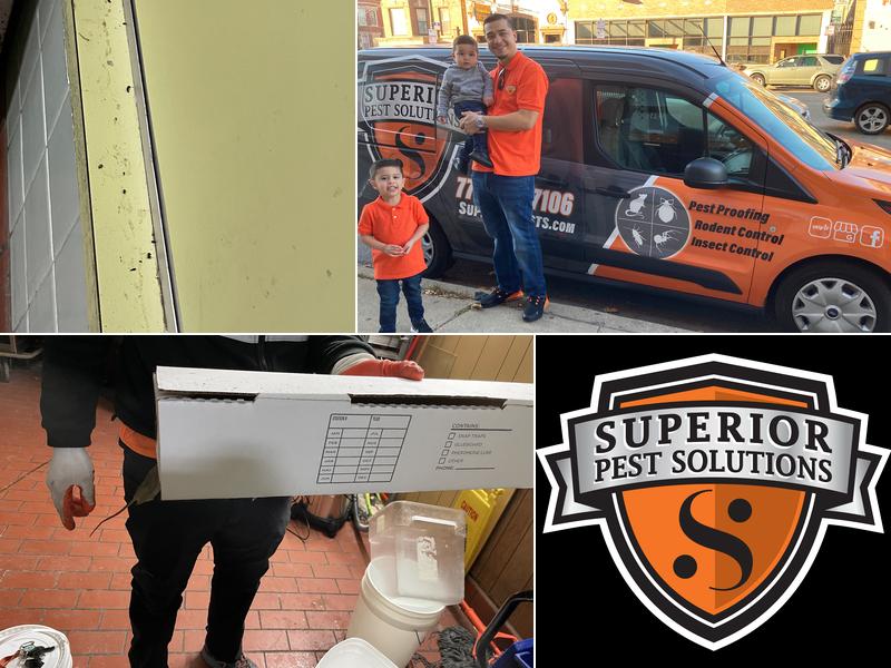 Superior Pest Solutions