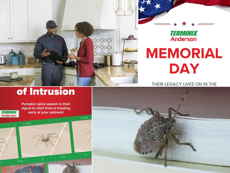 Anderson Pest Solutions