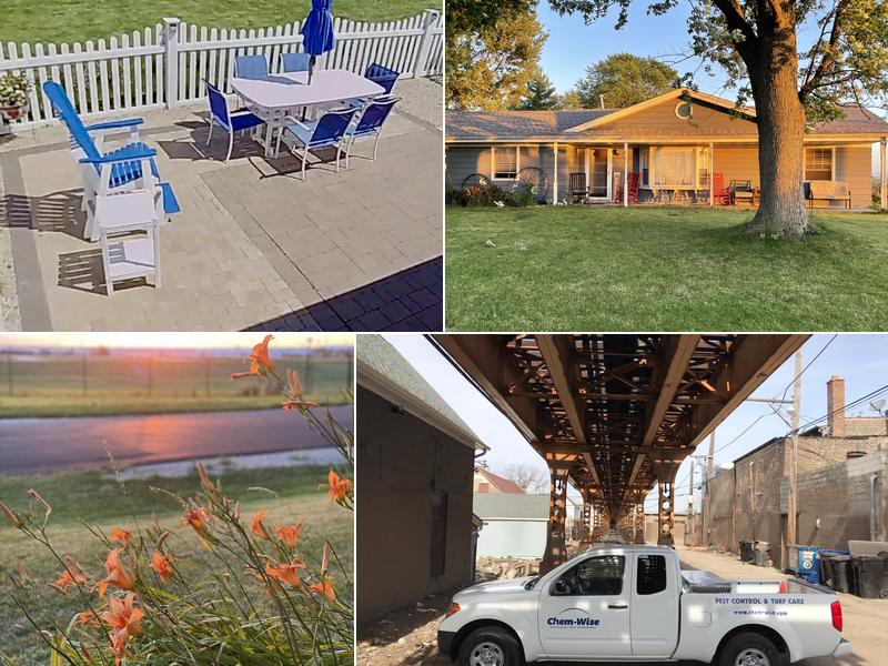 Chem-Wise Pest Control