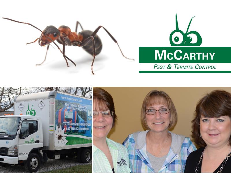 McCarthy Pest & Termite Control