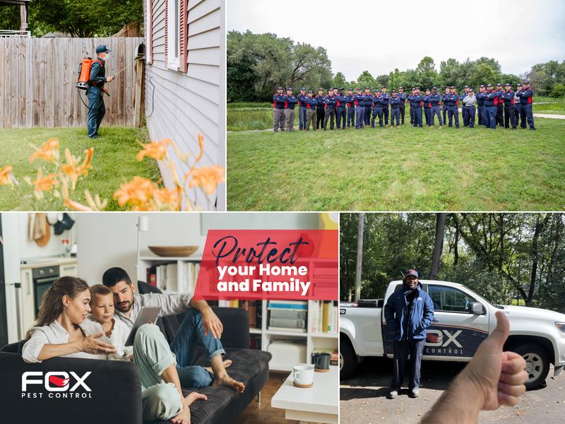 Fox Pest Control - Glen Ellyn