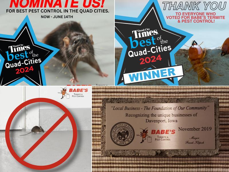 Babes Termite & Pest Control Inc