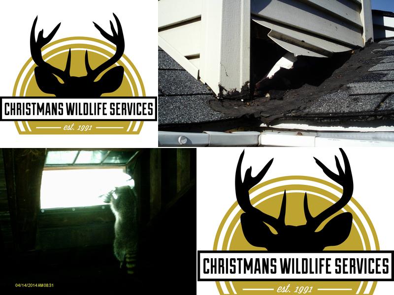 Christmans Wildlife Services