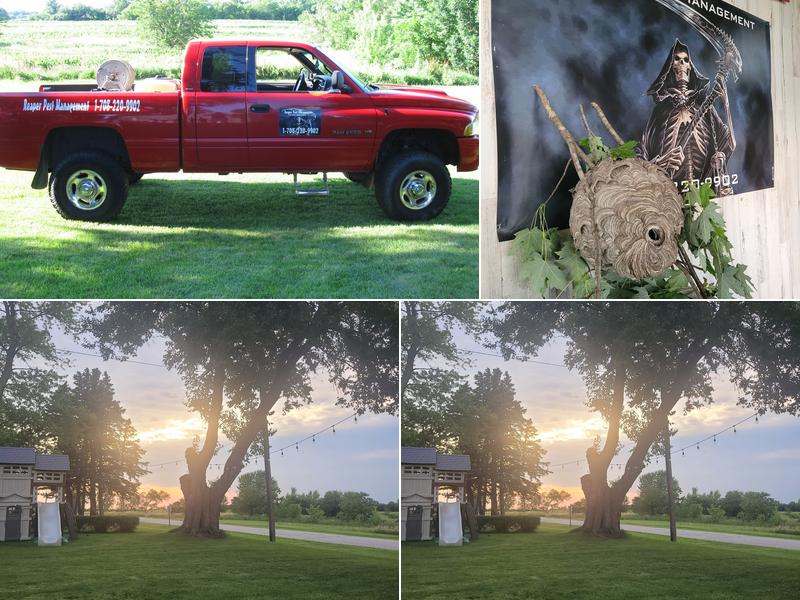 Reaper pest management