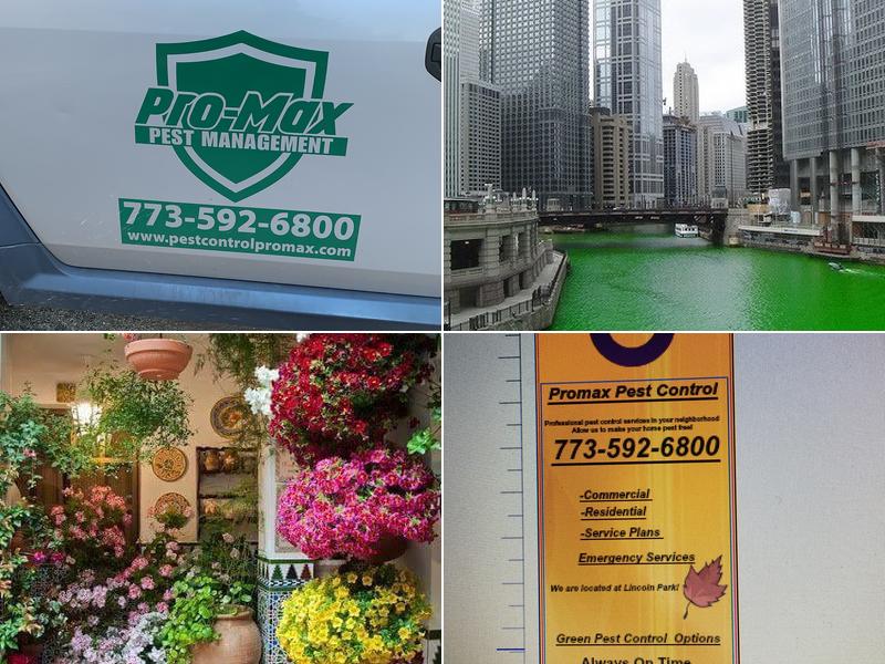 Promax pest management inc