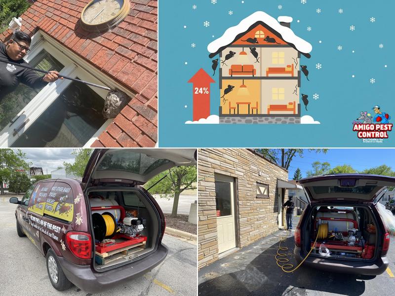 Amigo Pest Control