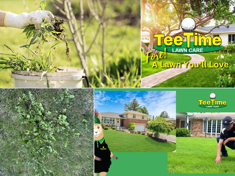 Tee Time Lawn Care, Inc.