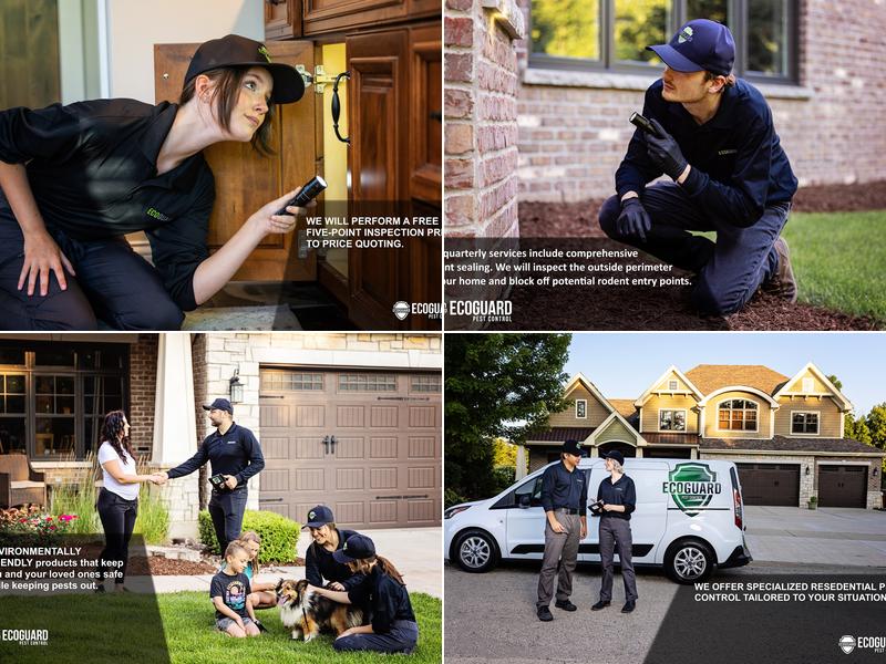 EcoGuard Pest Control