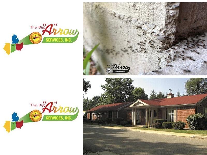 Arrow Pest Control Services