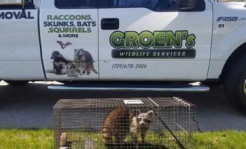 Groen's Wildlife Services 12705 White Oak Ave, Cedar Lake Indiana 46303