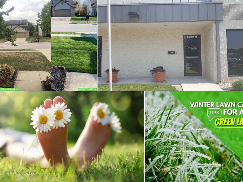 ExperiGreen Lawn Care