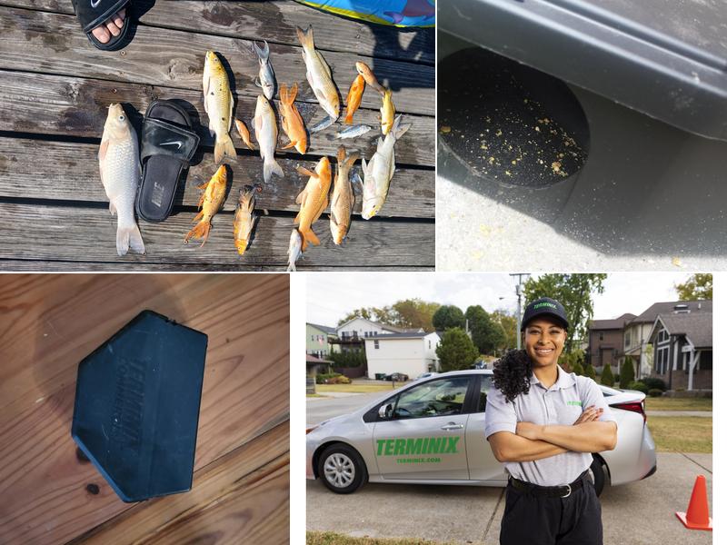 Terminix