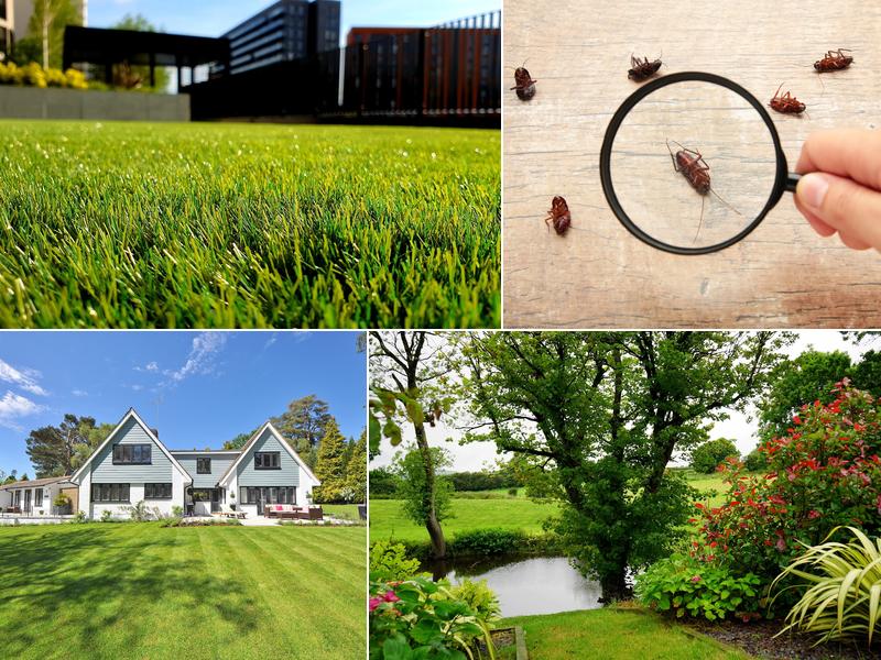 Turf Pro Outdoor Solutions